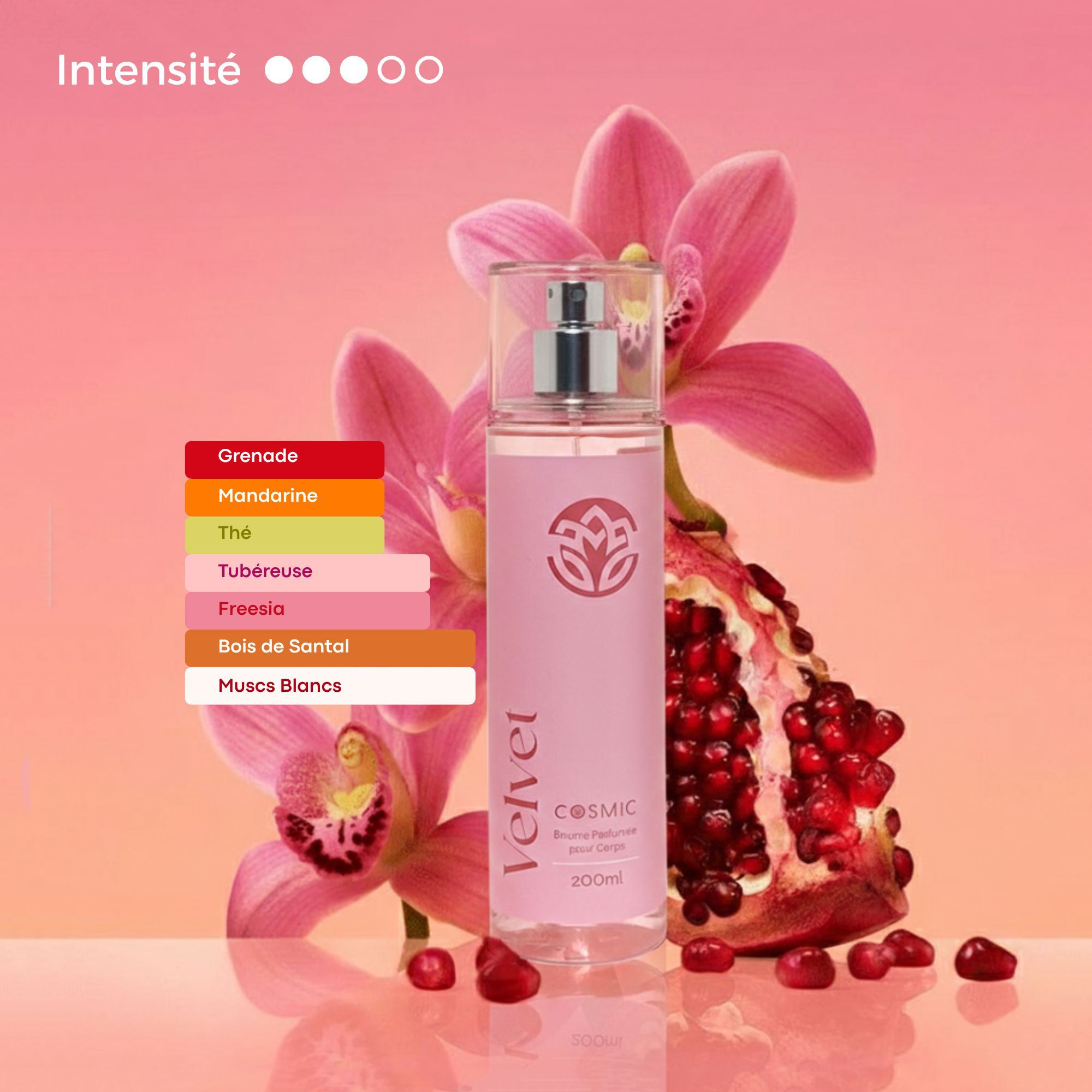 Odoo • une photo avec une légende