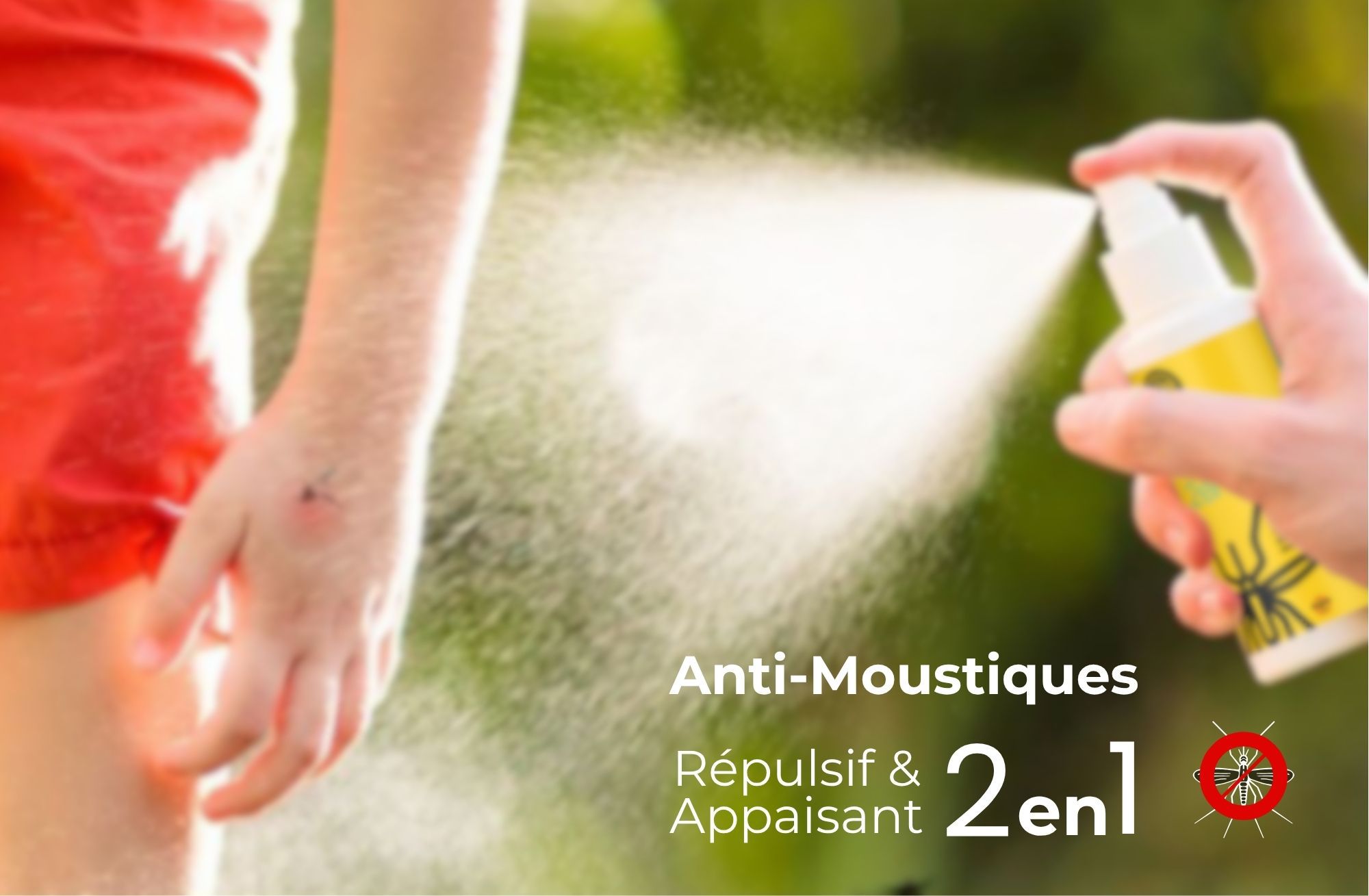 Odoo • Texte et Image