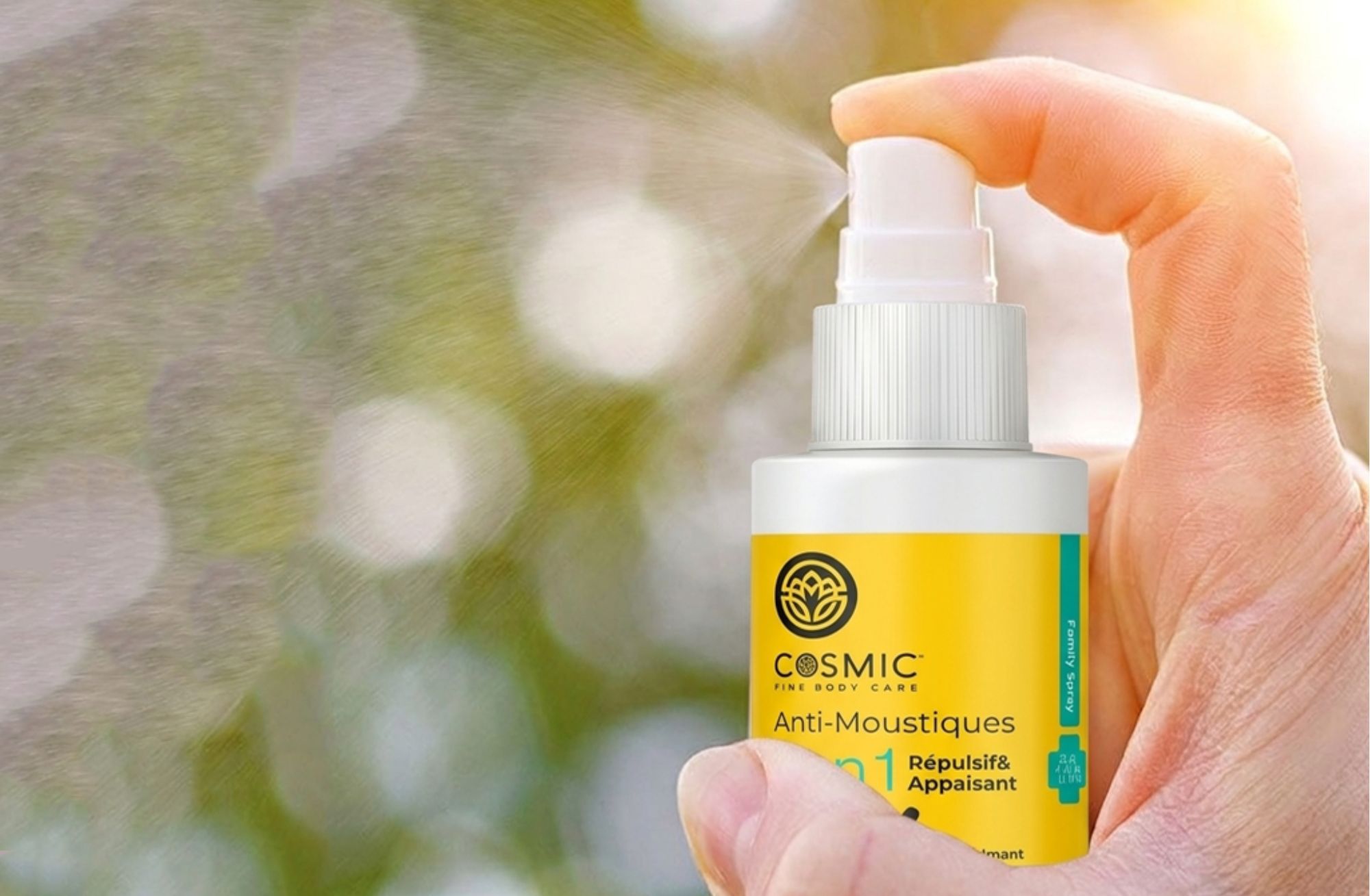 Odoo • Texte et Image