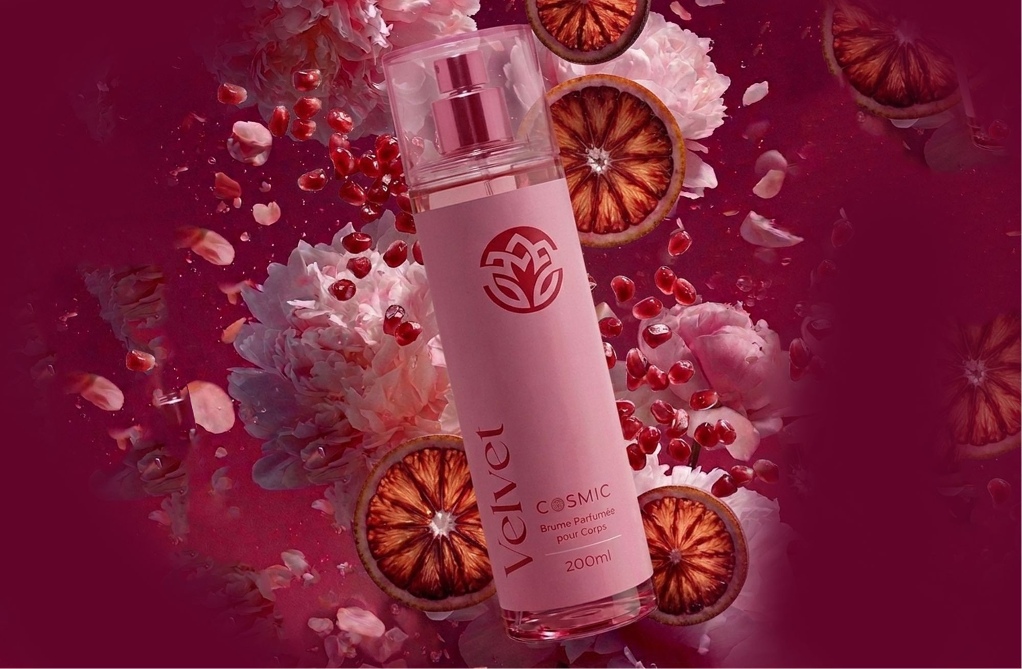 Odoo • Texte et Image