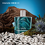 Escape - Eau de Parfum 50ml