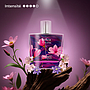 Persia - Eau de Parfum 50ml